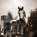 Kit Cavalo de Raça Bio Instinto 4itens Anti Queda Brilho Força Crescimento Salão Beleza Frizz